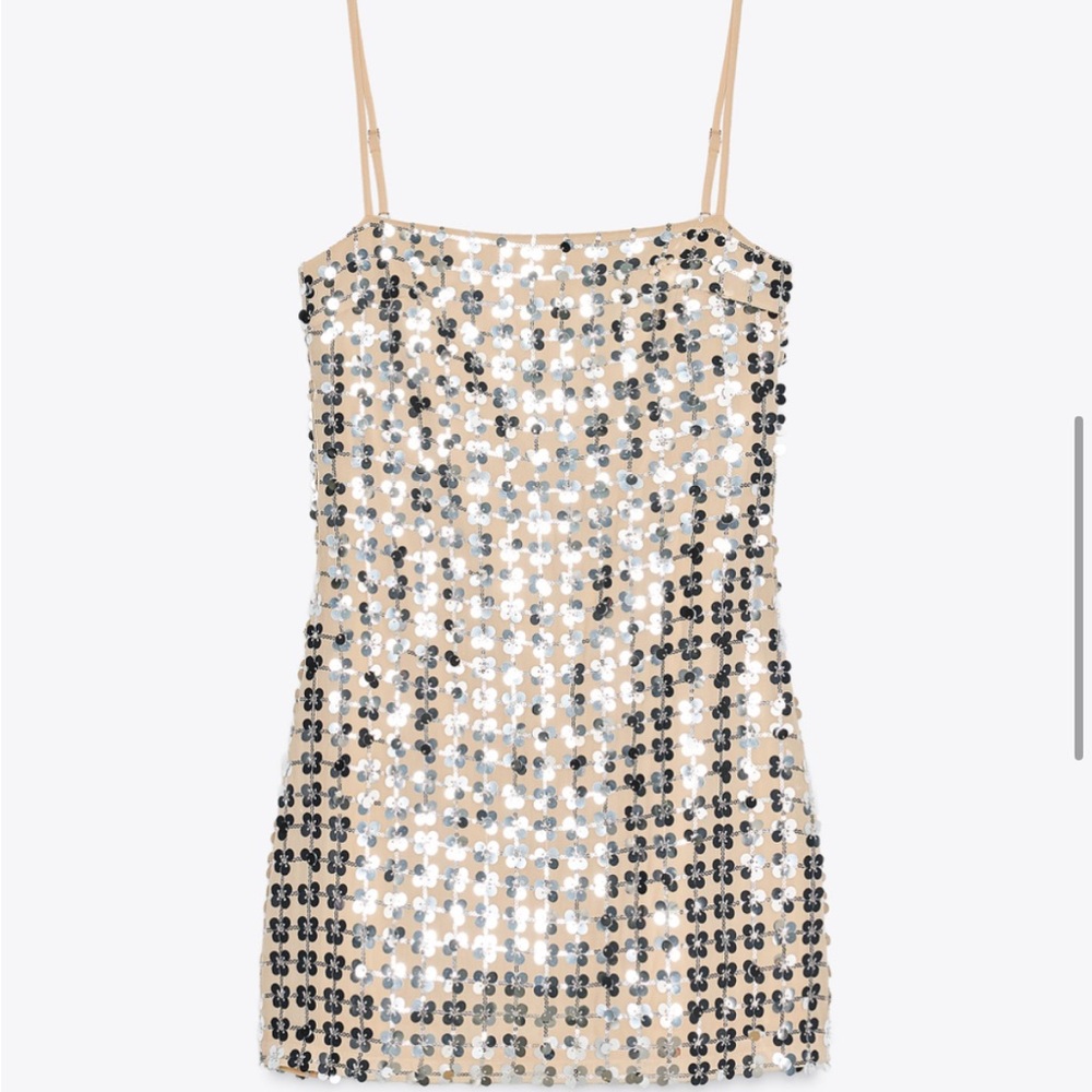 Zara Beige Dress with Sequins